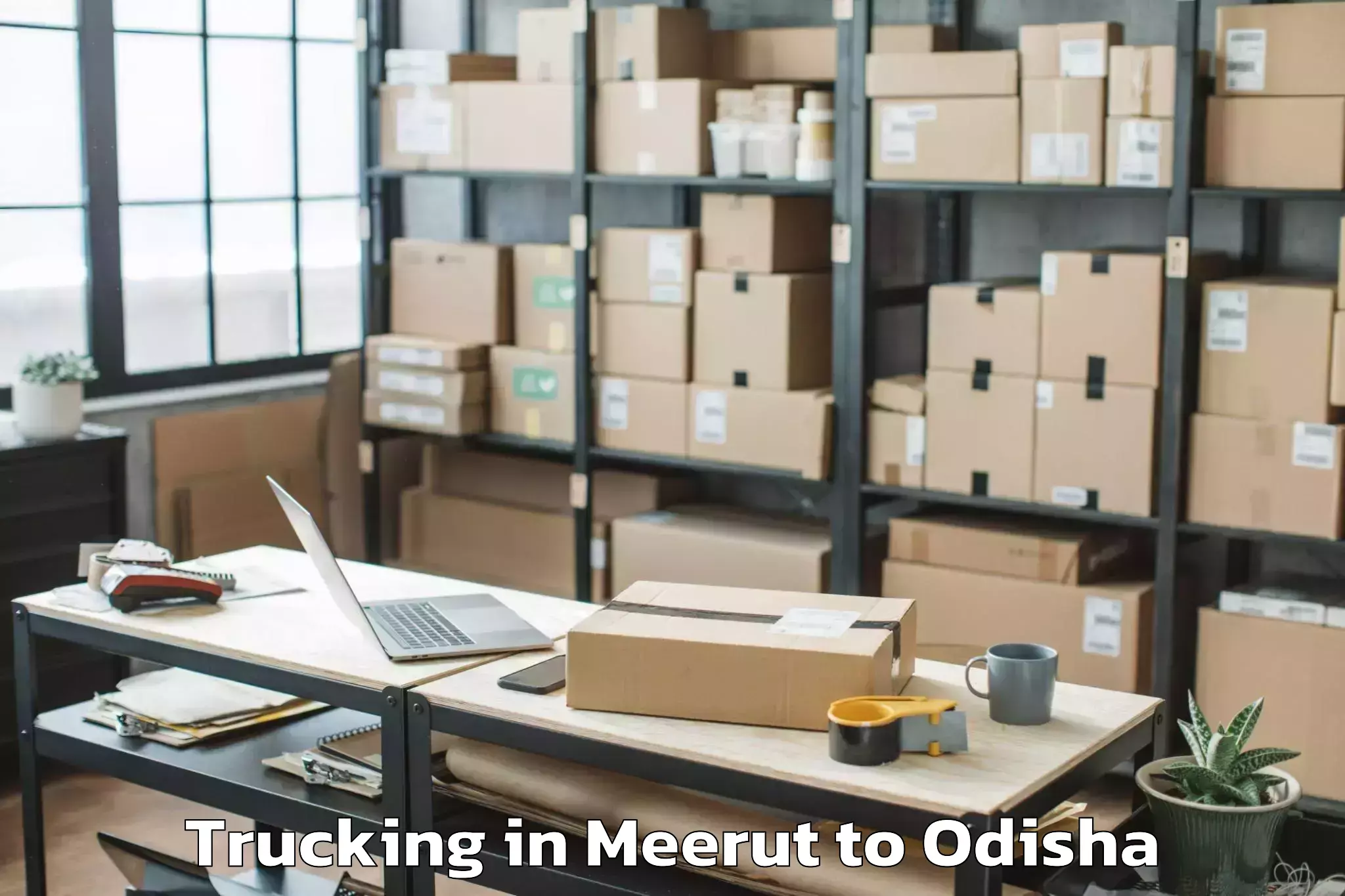 Leading Meerut to Raghunathapali Trucking Provider